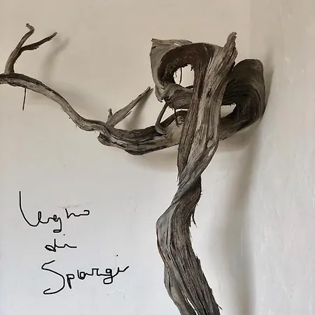 Maison Monte D'a Rena فيلة